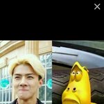 [EXO] 쓔ㅣ발남치니랑싸운듯