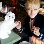 [EXOM] 뀌욤이 <b>타오</b>