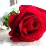 [검객] 남자가 사랑을 고백하는 단계