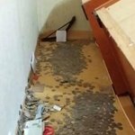 [짤북] 도데체 방에서 어떻게 생활을 했길래~~~!!