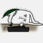 [시우민] 지금 웅녀들 