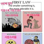 [공미니] 사랑스러움의 <b>법칙</b>.jpg