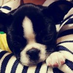 [비스트] 봉봉이(<b>현</b><b>승</b>X,기광O