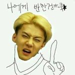 [EXO] 엑소 : 난너같은좃돼지씹오타쿠한테안갈건데?