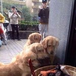 [EXO] 나 솔직히 유출본 거울<b>모드</b>해서 안무