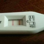 [19] 임테기좀봐주세요..
