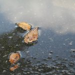 mbc <b>pd</b>수첩 신천지 보도 이후 신천지의 달라진 점