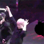 [시우민] 생명의 나무 + <b>벚꽃</b> + 내린슈