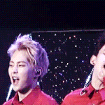 [시우민] 일본서 열창하는종대와 <b>포효</b>하는슈밍