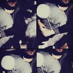 [EXO] <b>카톡</b>프사하기좋은 <b>남친</b>짤나눠주고갈게