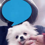 [도경수] 경수 손