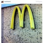 [공포베스트] 미국 <b>도심</b>을 덮친 귀뚜라미때