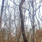 [아배붑] 숨은 고양이 아배붑을 찾아라 (<b>정답</b>)