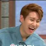 [블락비] 벌들많으니까좋댜ㅋㅋㅋㅋ<b>화목</b>해^^