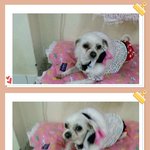 <b>번식</b>장에서 구조된 모란이