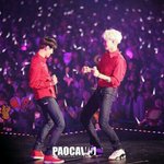 [EXO] 백현이랑 종이니