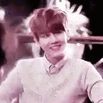 [EXO] ㅅㅂ교통사고드립년아신고진짜먹어라