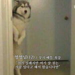 [EXO] 악개년들 짖는 수준 <b>인간정도</b>가 아니야ㅋㅋ