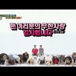 [EXO] 엑소 단체로 절했네