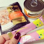 [포메브숏] 포메아쫑 브숏먼지 개냥의 동거-5