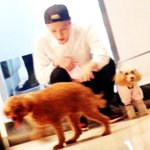 [몽구] <b>세훈이</b>와 몽구