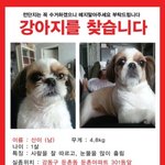 강동구) 우리산이좀 찾아주세요