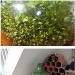 [공포베스트] <b>밀봉</b>된 세계