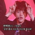 [백현] 꽃님이들아 이거 원본 가지고있니