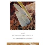 [공미니] [혐오] 인간의 몸에 기생하는 <b>벌레들</b>