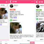 잃어버린 반려동물을 찾거나, 보호 중인 분들 권유해 봅니다.