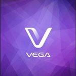 다시 뛰는 베가!