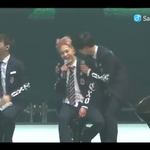 [시우민] 착한백현멍뭉시우민민망할까봨ㅋㅋ