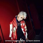 [블락비] 헐꿀봉왓다ㅜㅠㅜㅠ