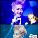 [시우민] <b>햄</b><b>찌</b>햄찌ㅠㅠㅠ