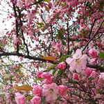 [운동장] 눈팅<b>족</b>들 나와라~~