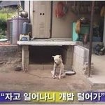 [아르바이트] <b>편돌</b>이 알바하다가 작업걸었는데 망한썰...