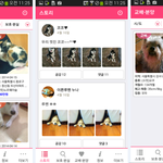 교배, 보호중, 분실, 분양 어플 소개