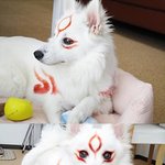 [짤북] 개스프레.<b>jpg</b>