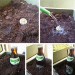 [짤북] 맥주병뚜껑 땅에 심어서 <b>재배</b>.jpg