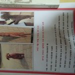 제발..저희 <b>로이</b> 좀 찾아주세요..