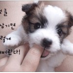 [<b>티비</b>톡] <b>티비</b>톡의 드라마리뷰2 -7