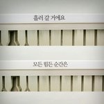 [<b>세월</b>호] @@@@우리나라후진국/<b>세월</b>호