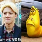 [EXO] <b>라바</b>짤보니까세훈이생각남