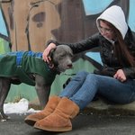 [공포베스트] 학교 친구들에게 강간당해 자살한 한 소녀