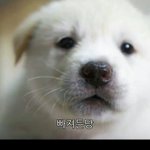 [EXO] 점점깊숙히빠져간다