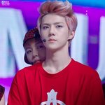 [EXO] 세백