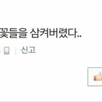 [블락비] 블판이다시돌아왔다