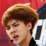[EXO] 오랫만에 <b>엽사</b>를 보다가...오구오구