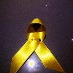 [세월호] 세월호 실종자들을 위한 노란<b>리본</b> 캠페인