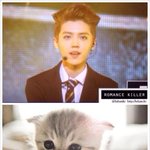 [EXO] 루냥이 ㅋㅋㅋㅋㅋㅋㅋ 